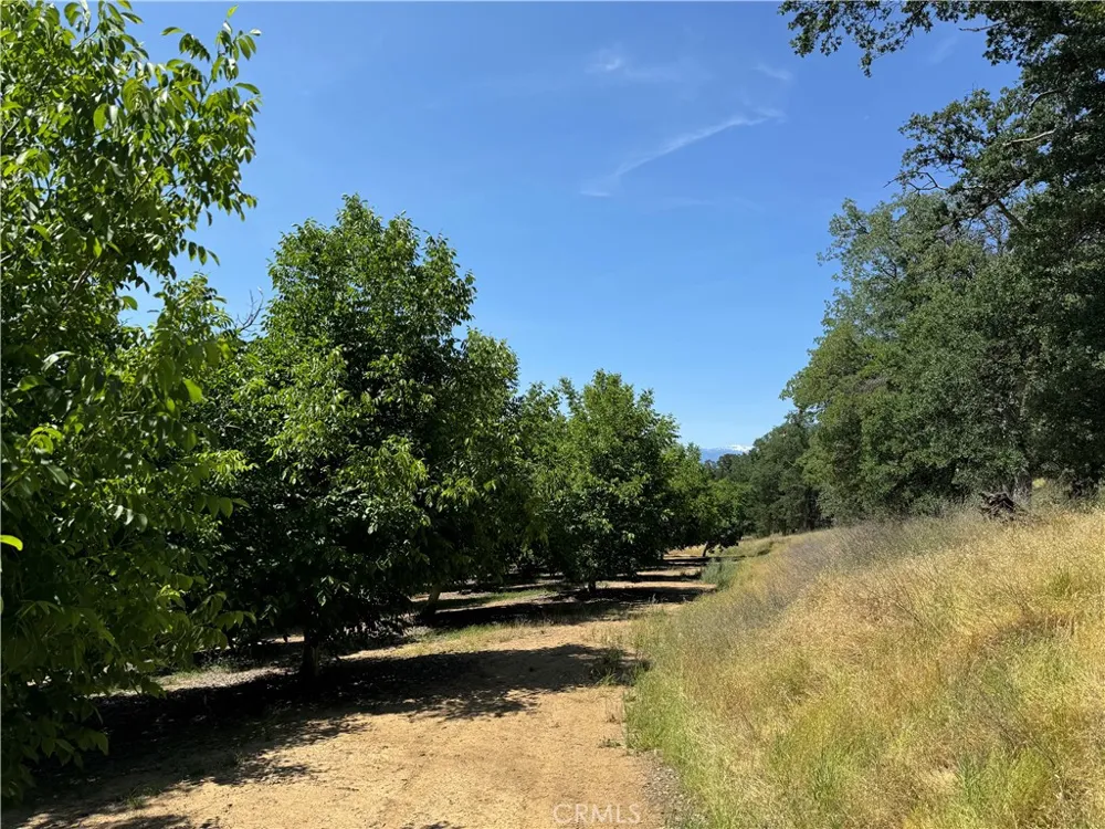18525 Farquhar Road Cottonwood, CA 96022