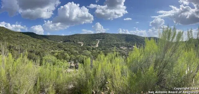 1523 SPRING RD Pipe Creek, TX 78063