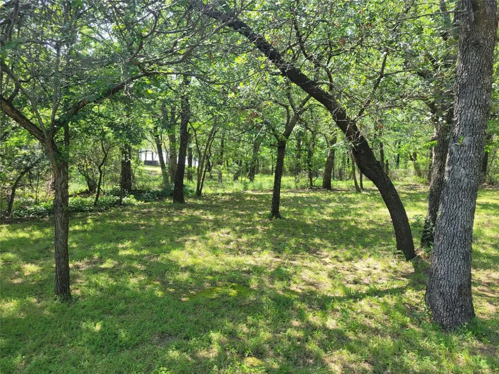 38 Pawnee Trail Nocona, TX 76255