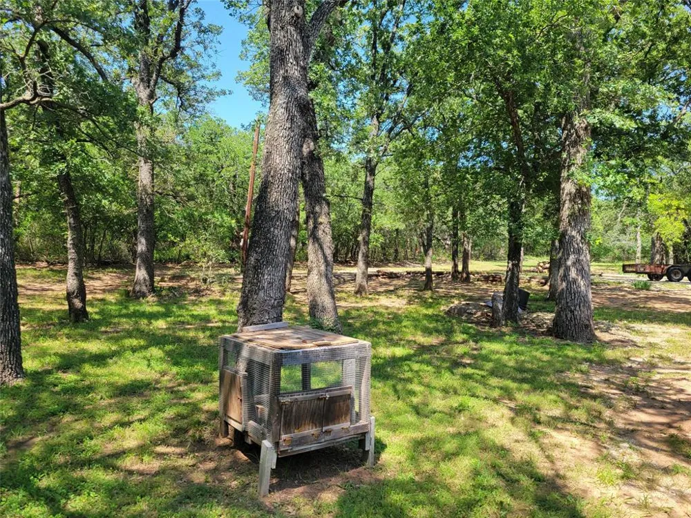 38 Pawnee Trail Nocona, TX 76255