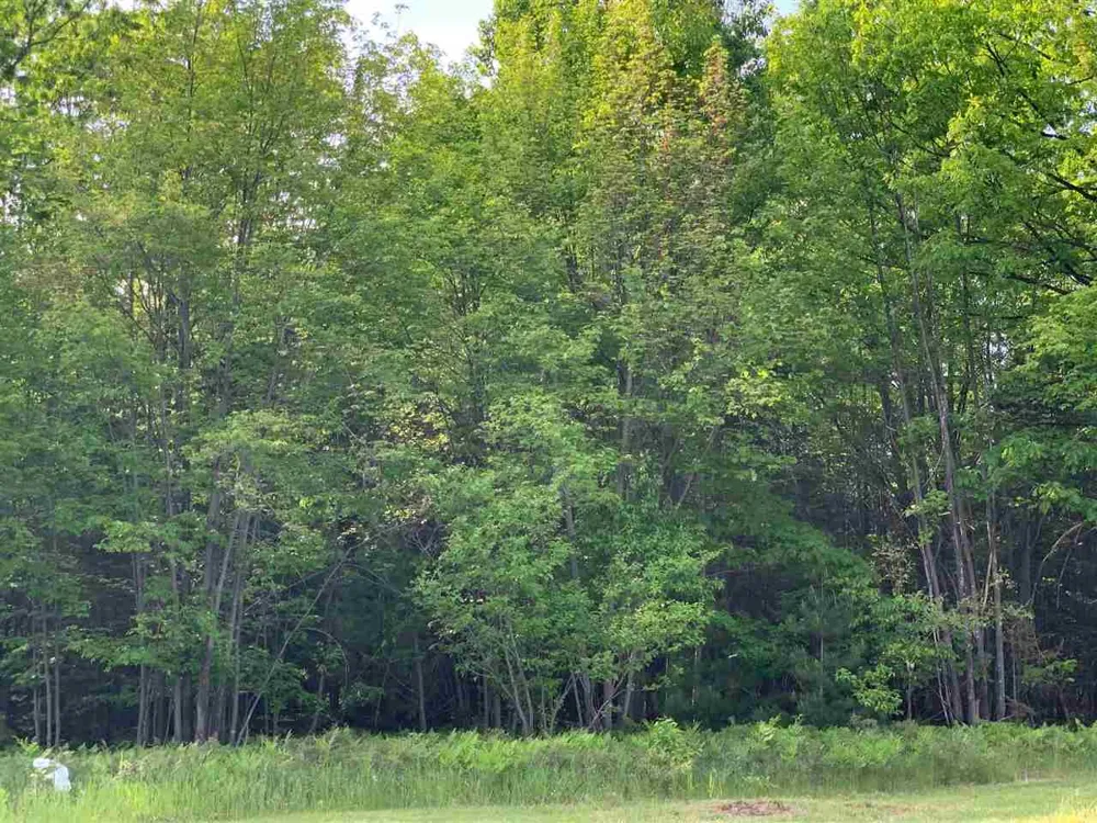 W Houghton Lake Drive Denton Township, MI 48629