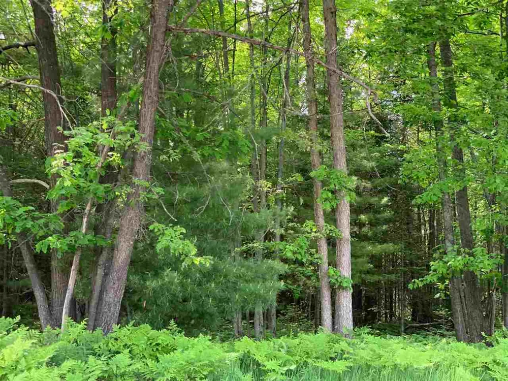 W Houghton Lake Drive Denton Township, MI 48629