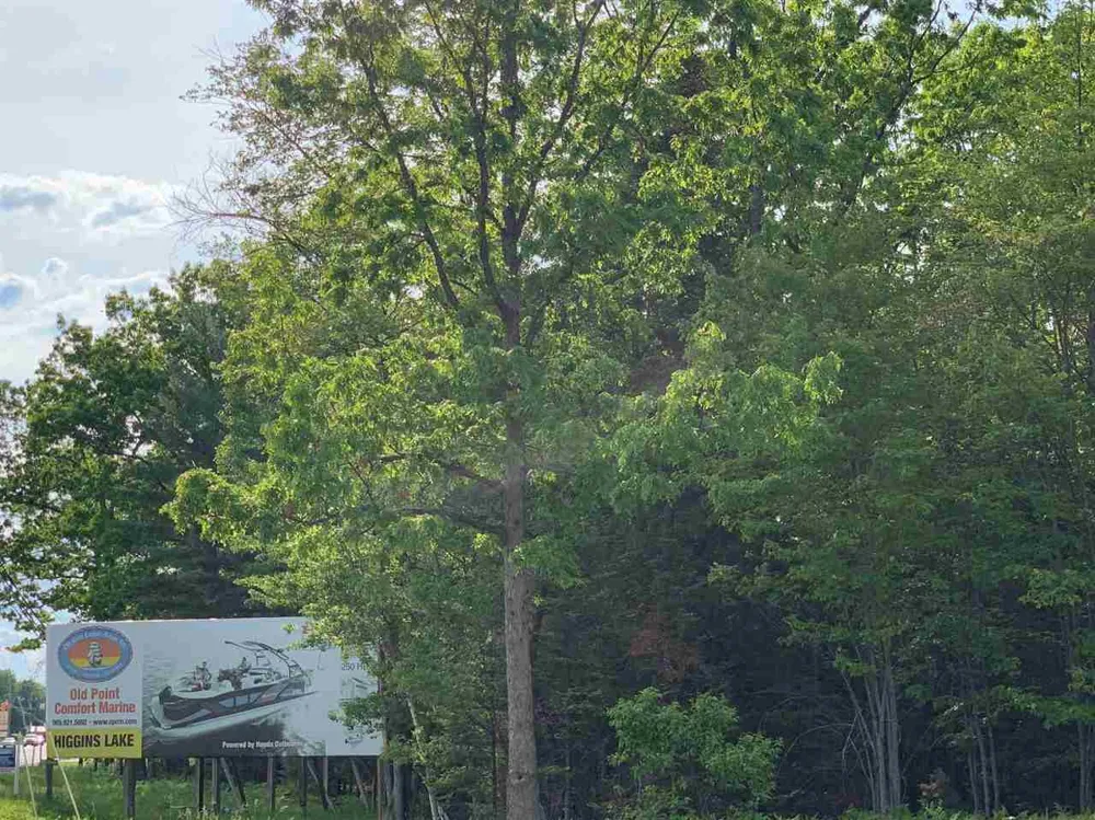 W Houghton Lake Drive Denton Township, MI 48629