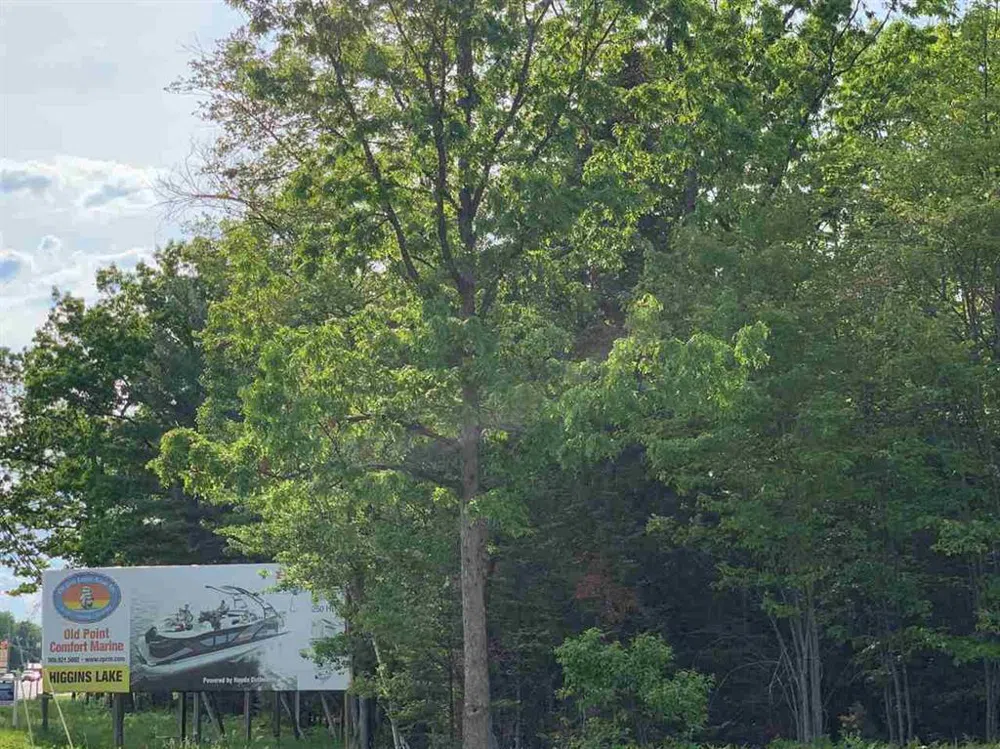 W Houghton Lake Drive Denton Township, MI 48629