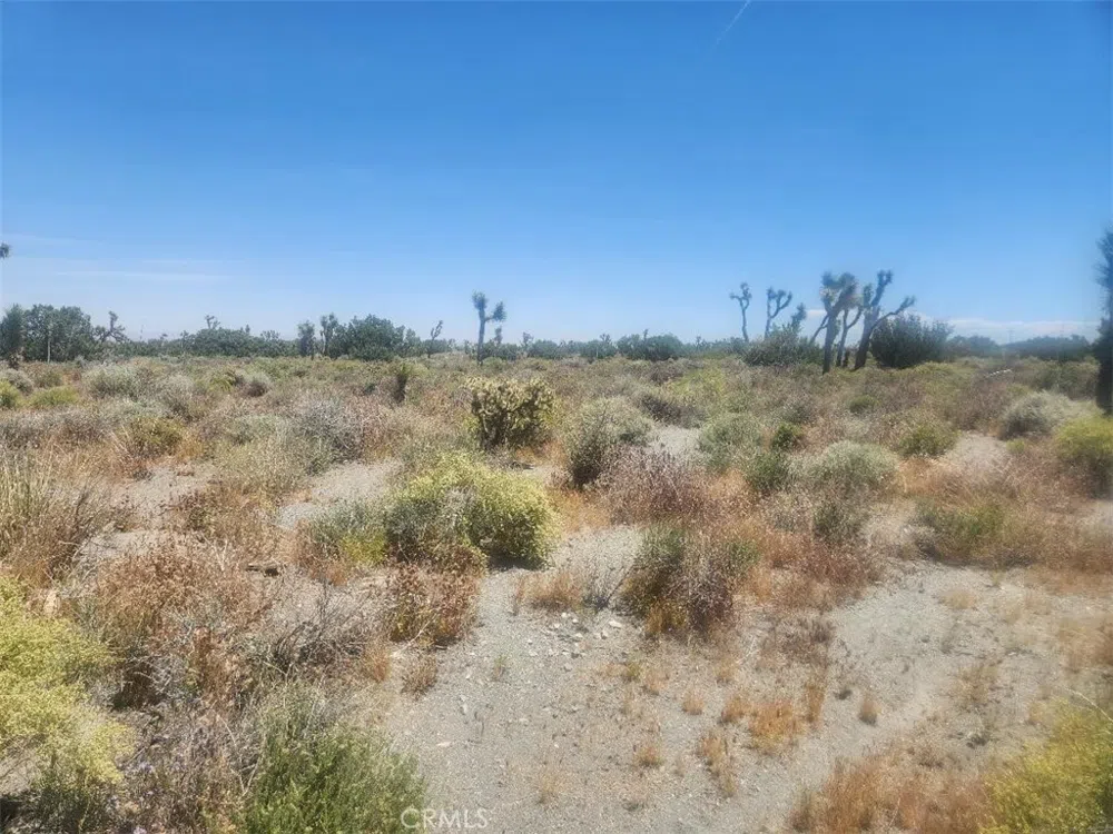 Minero Road Pinon Hills, CA 92372
