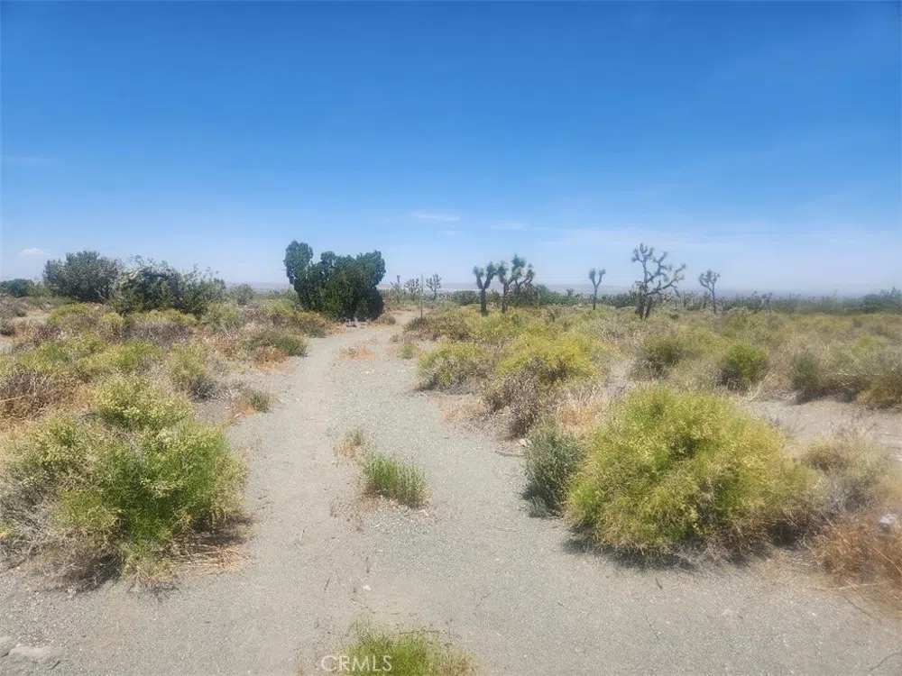 Minero Road Pinon Hills, CA 92372