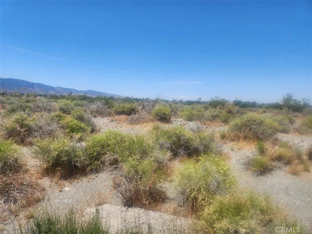 Minero Road Pinon Hills, CA 92372