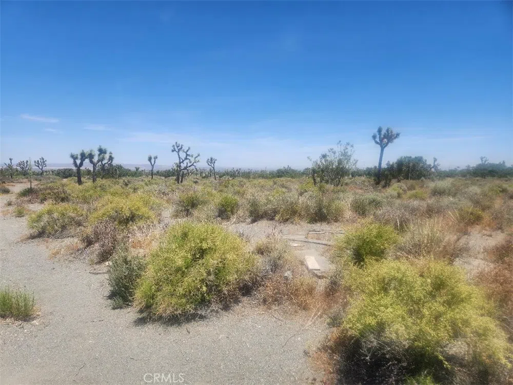Minero Road Pinon Hills, CA 92372
