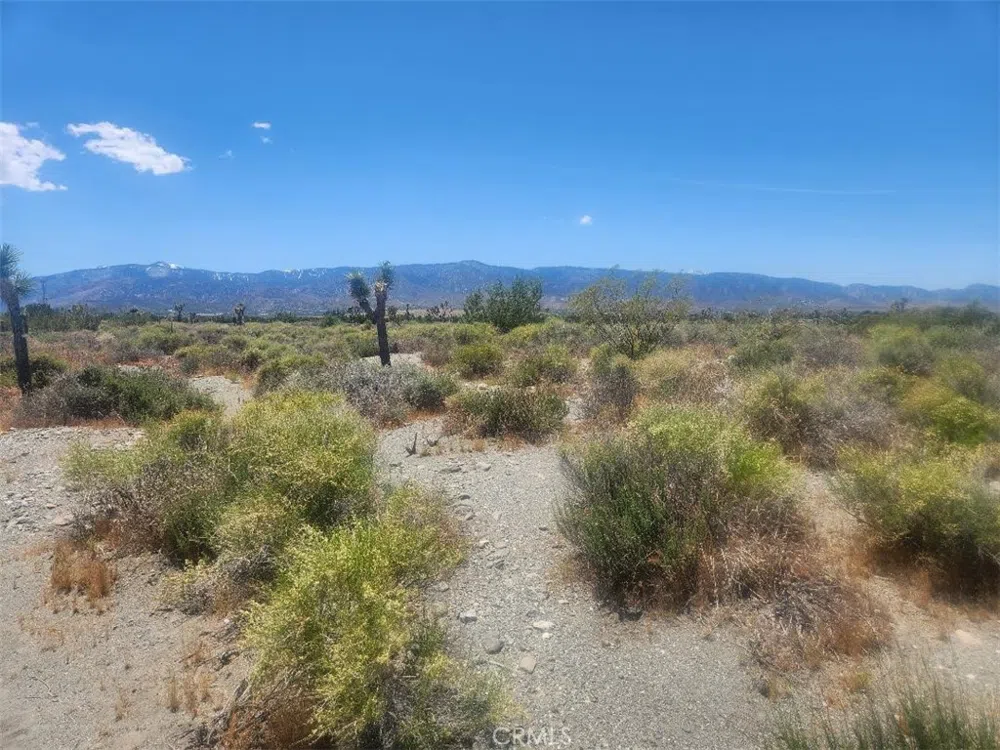Minero Road Pinon Hills, CA 92372