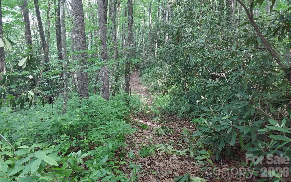 A2 CARDINAL DRIVE Lake Toxaway, NC 28747