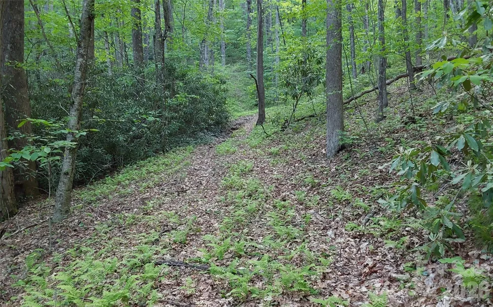 A2 CARDINAL DRIVE Lake Toxaway, NC 28747