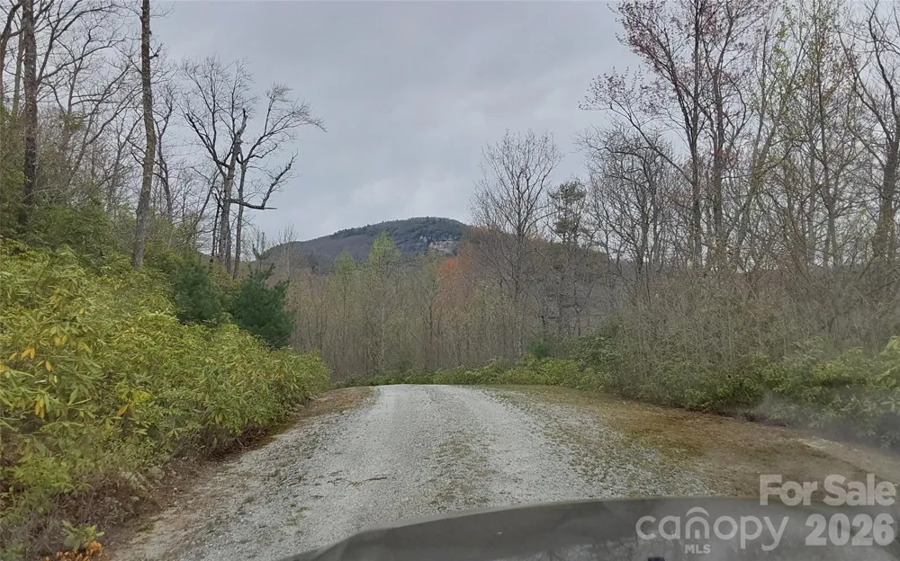 A2 CARDINAL DRIVE Lake Toxaway, NC 28747