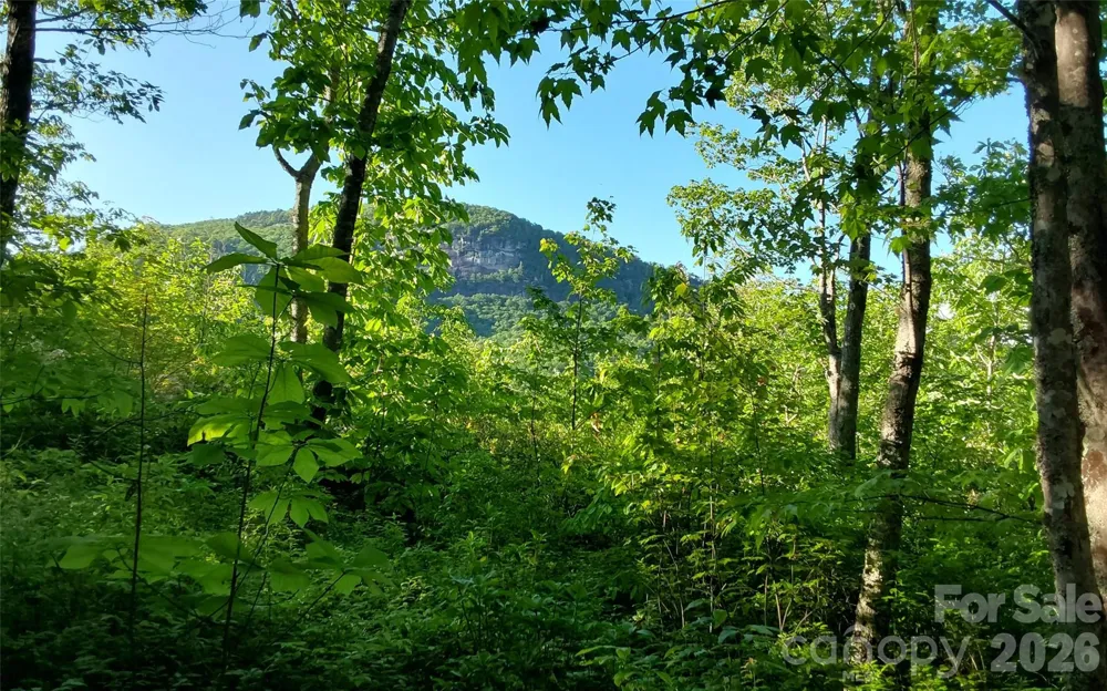 A2 CARDINAL DRIVE Lake Toxaway, NC 28747