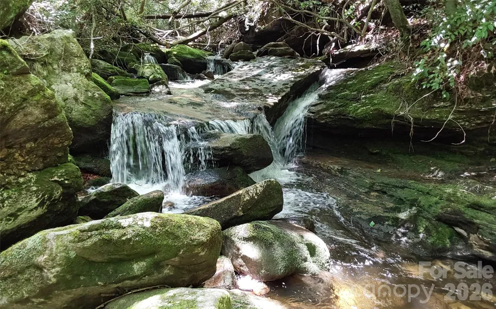 A2 CARDINAL DRIVE Lake Toxaway, NC 28747