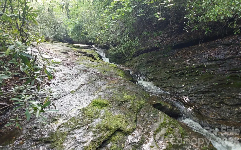 A2 CARDINAL DRIVE Lake Toxaway, NC 28747