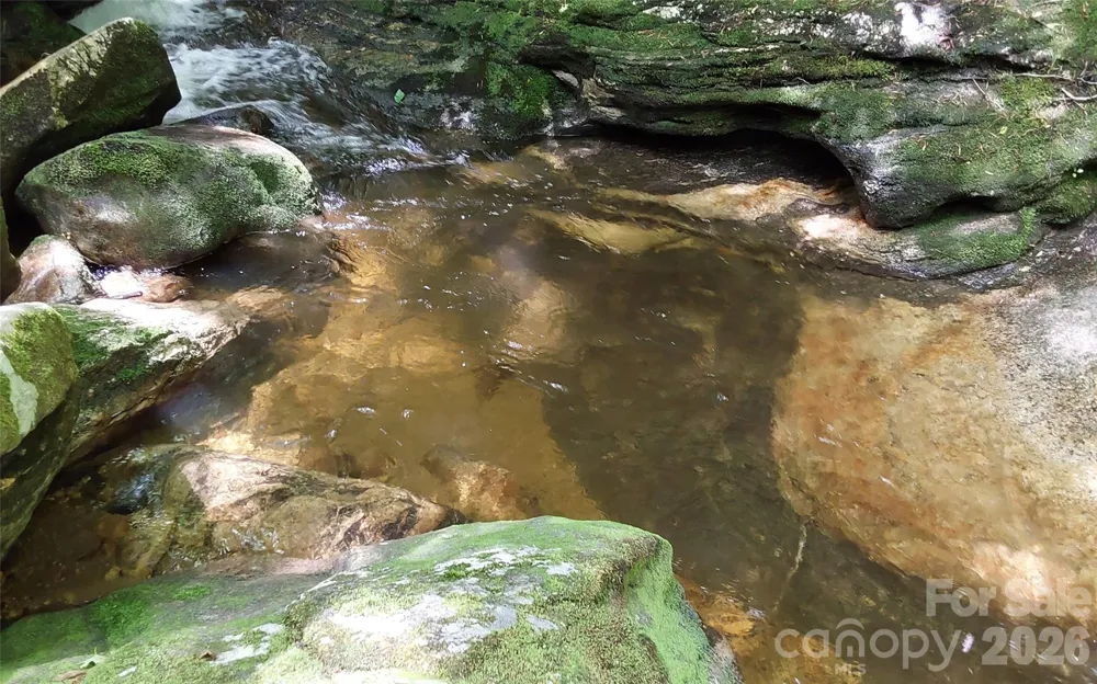 A2 CARDINAL DRIVE Lake Toxaway, NC 28747