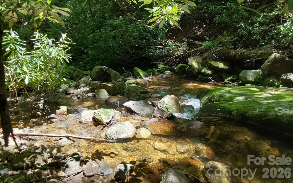A2 CARDINAL DRIVE Lake Toxaway, NC 28747