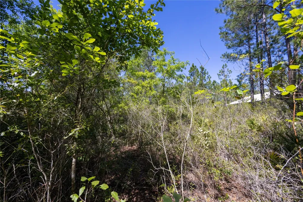 NE 108TH AVENUE Waldo, FL 32694