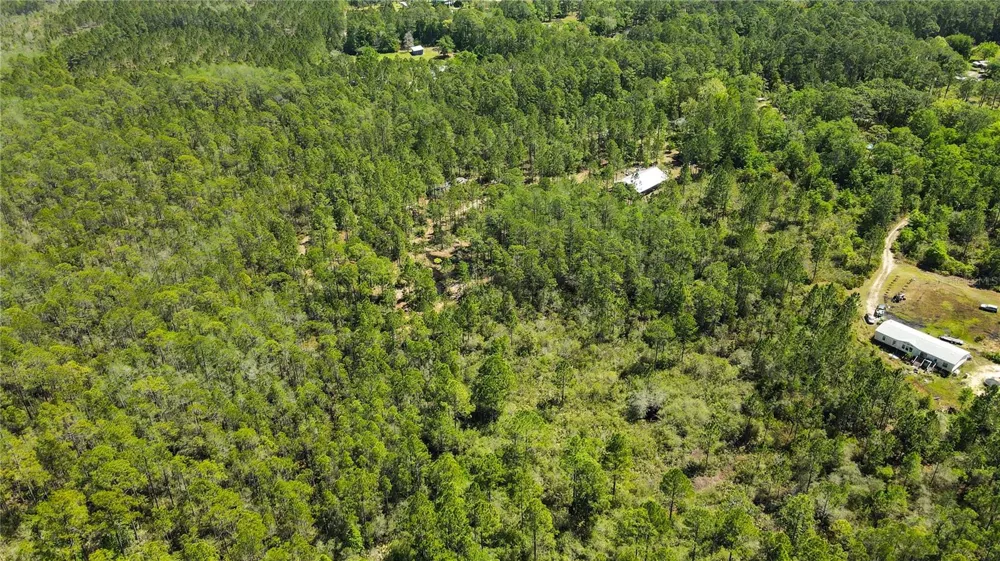 NE 108TH AVENUE Waldo, FL 32694