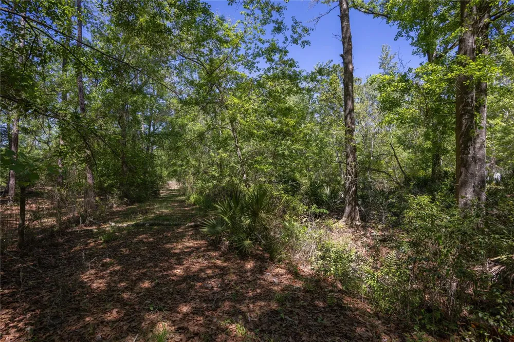 NE 108TH AVENUE Waldo, FL 32694