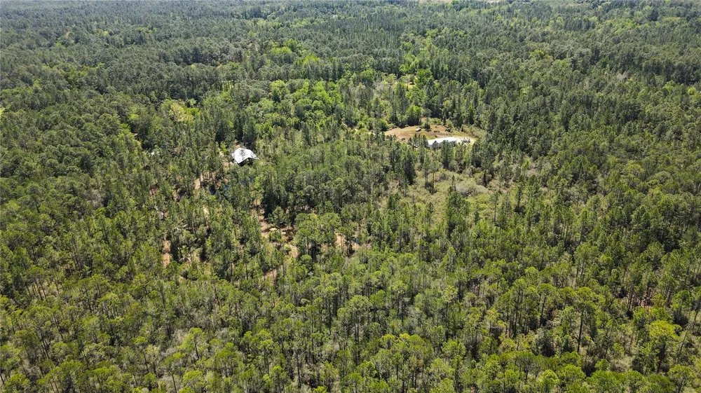 NE 108TH AVENUE Waldo, FL 32694