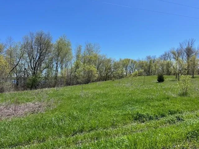 Lot 11 Alum Trail Grey Eagle, MN 56336