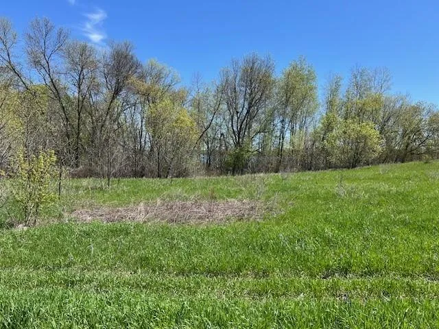 Lot 11 Alum Trail Grey Eagle, MN 56336