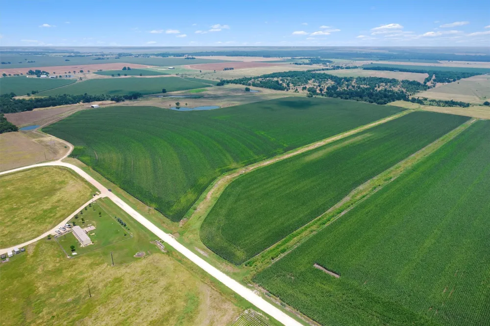 1117 County Road 423 Taylor, TX 76574
