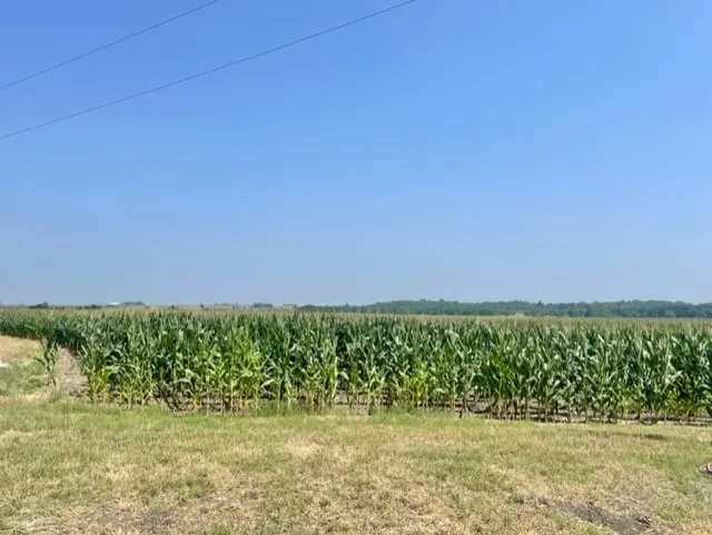 1117 County Road 423 Taylor, TX 76574