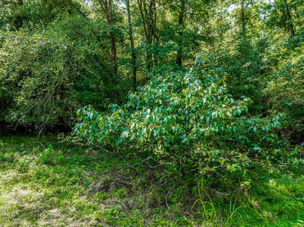 0 Phillips RD Eatonton, GA 31024