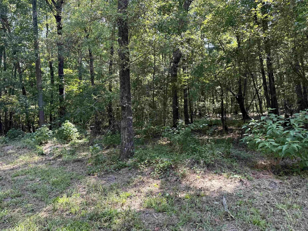 0 Phillips RD Eatonton, GA 31024