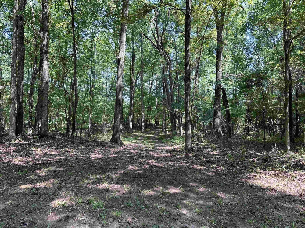 0 Phillips RD Eatonton, GA 31024