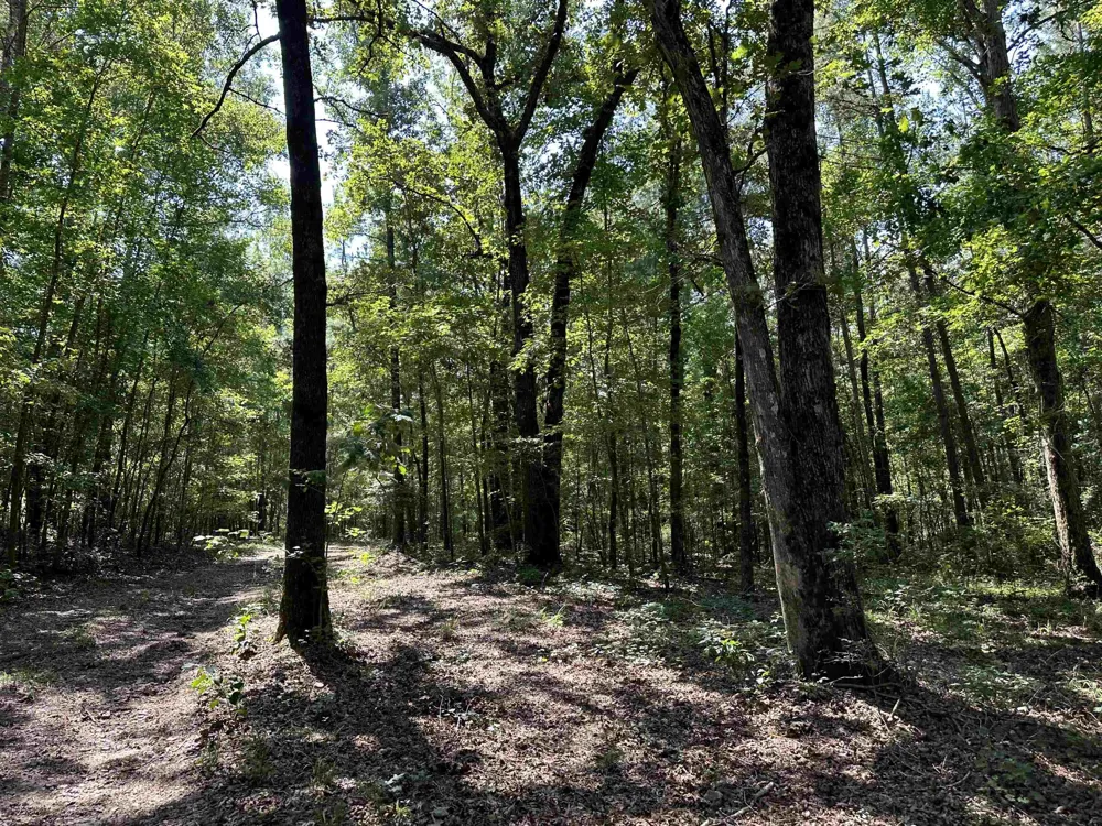 0 Phillips RD Eatonton, GA 31024