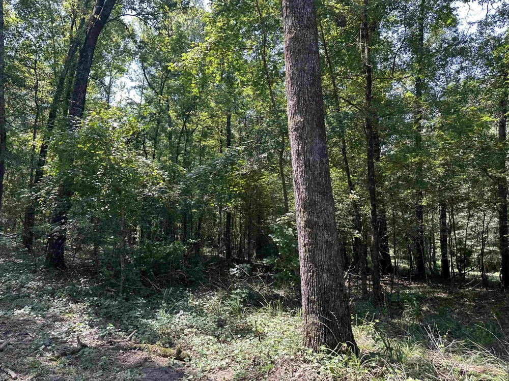 0 Phillips RD Eatonton, GA 31024