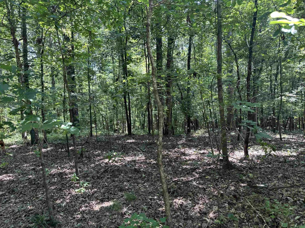 0 Phillips RD Eatonton, GA 31024