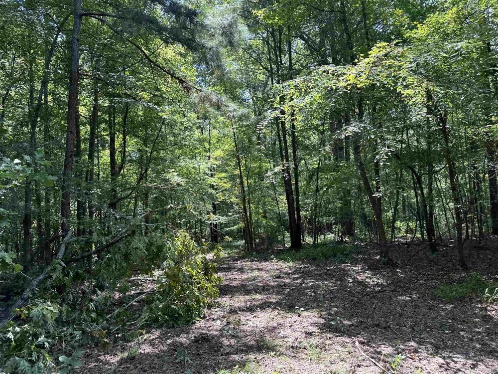0 Phillips RD Eatonton, GA 31024