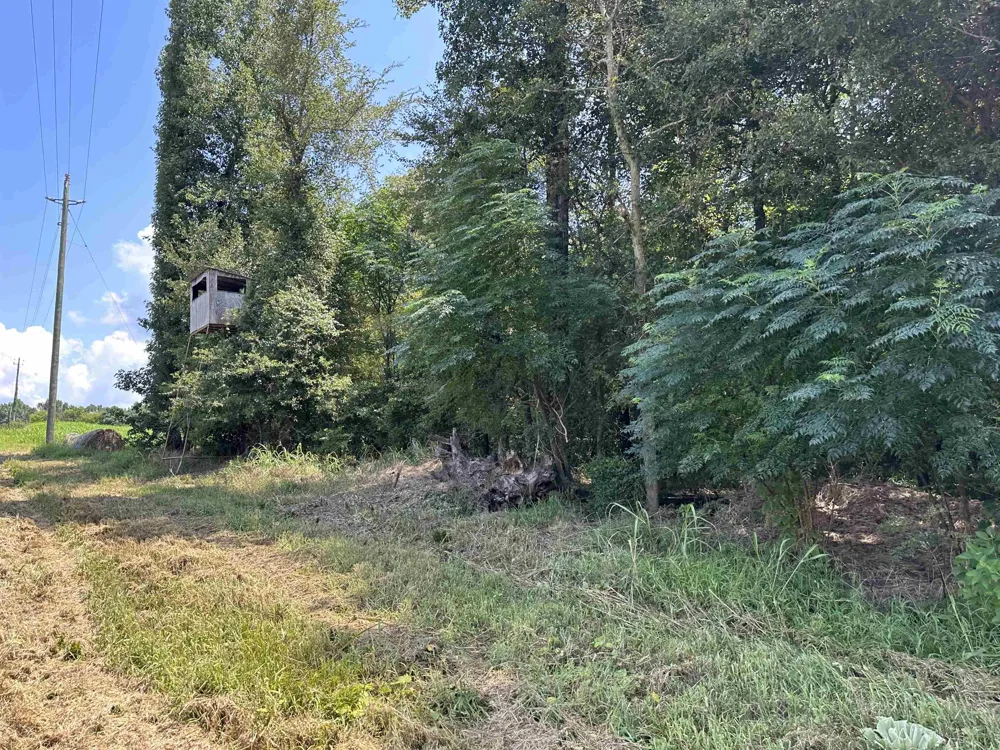 0 Phillips RD Eatonton, GA 31024