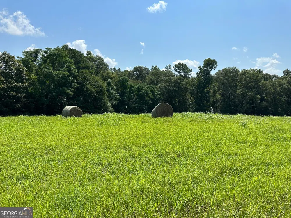 100AC Twin Bridges RD Eatonton, GA 31024
