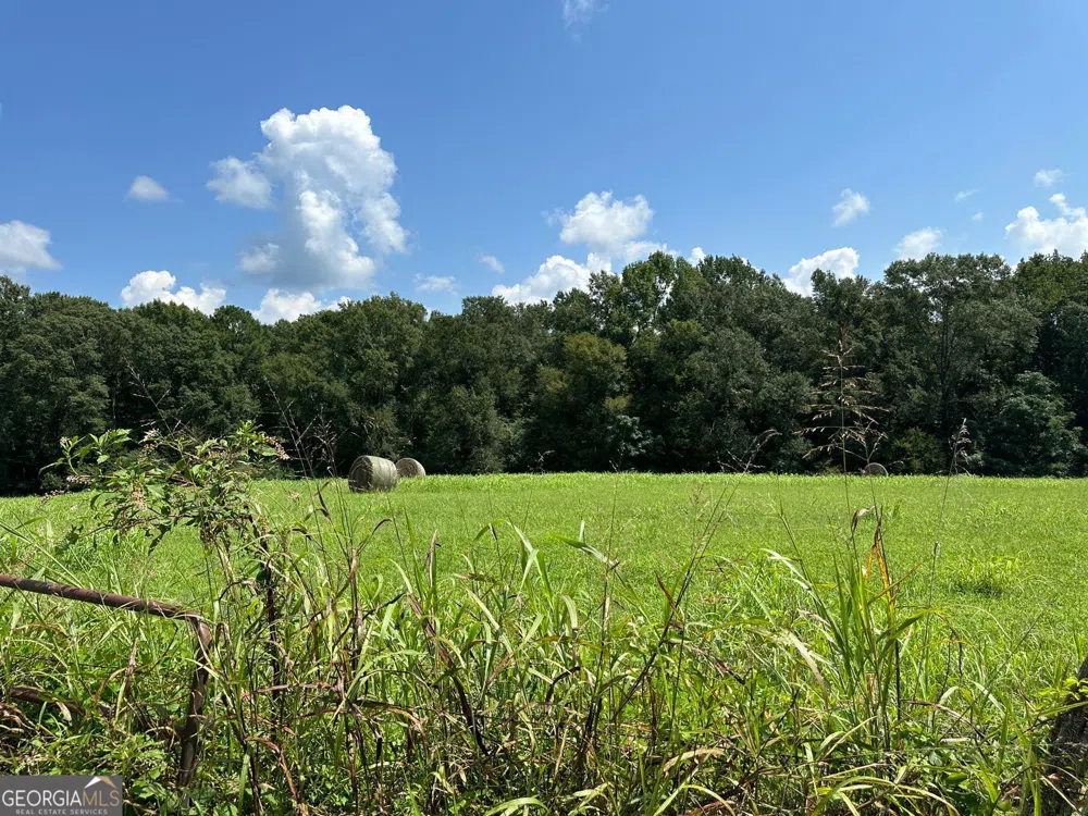 100AC Twin Bridges RD Eatonton, GA 31024