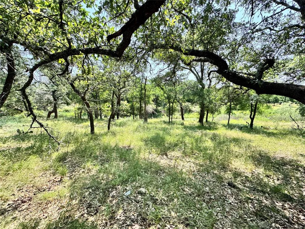 848 Oak Point Drive May, TX 76857