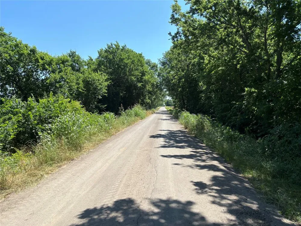 2516 County Road 1017 Wolfe City, TX 75423
