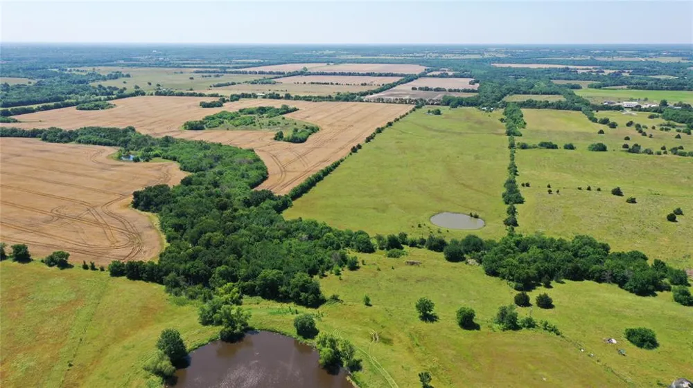 2516 County Road 1017 Wolfe City, TX 75423