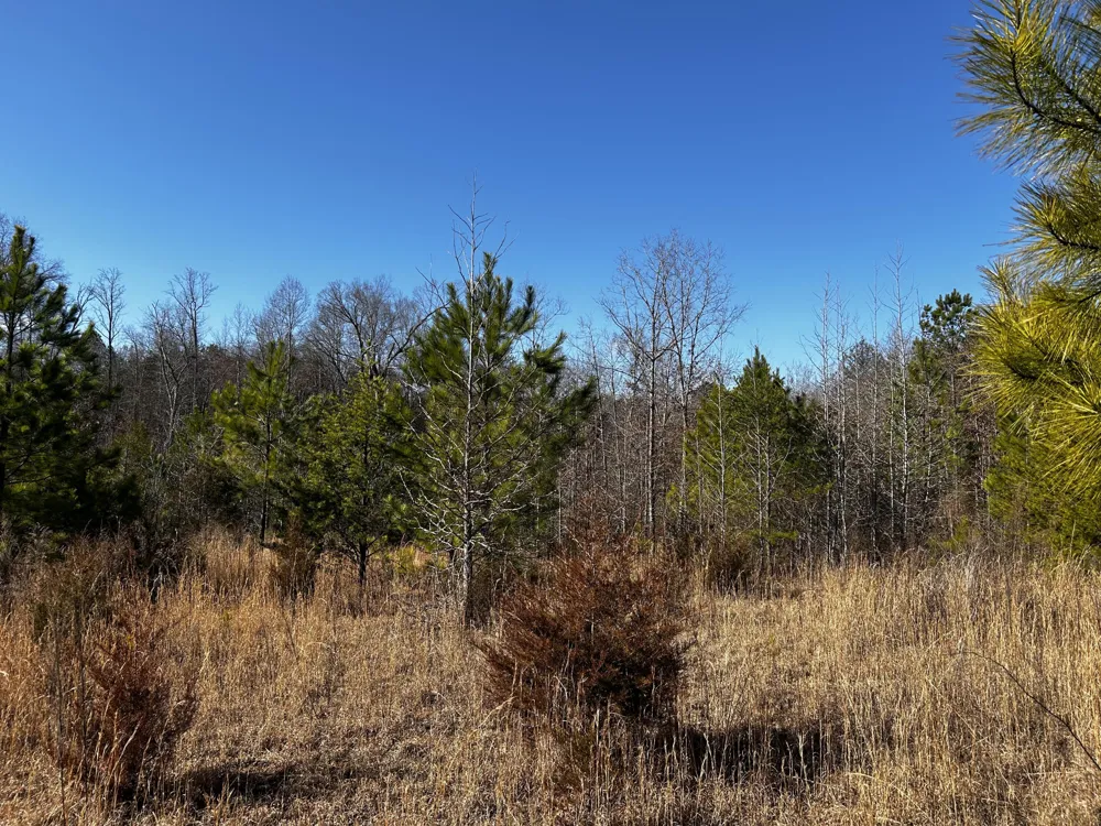 No Pone Valley Road Georgetown, TN 37336