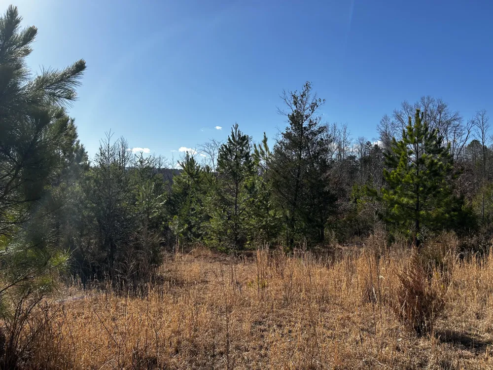 No Pone Valley Road Georgetown, TN 37336