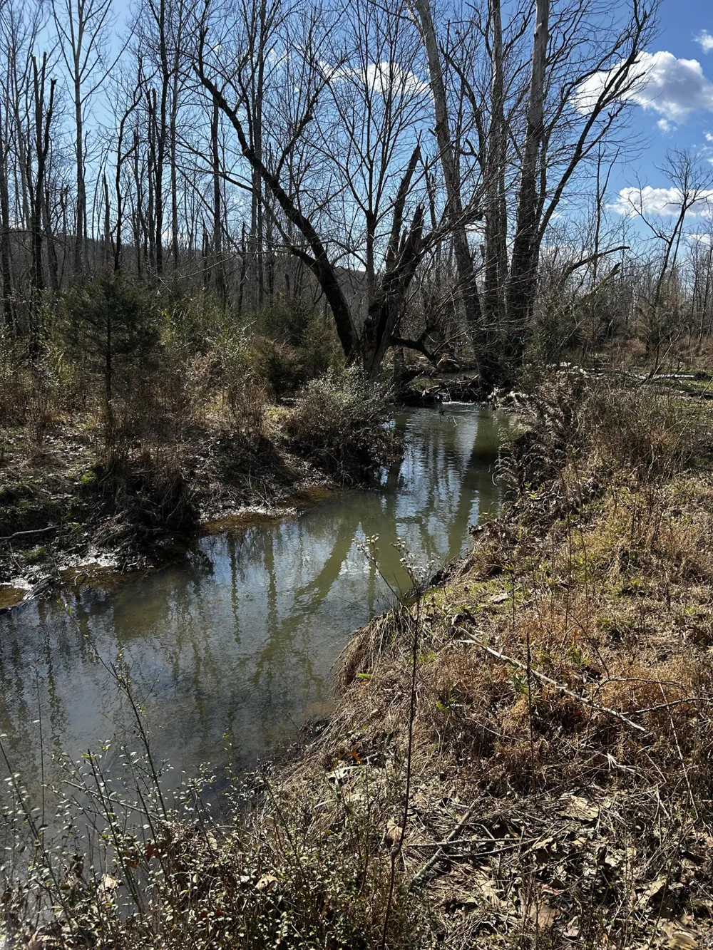 No Pone Valley Road Georgetown, TN 37336