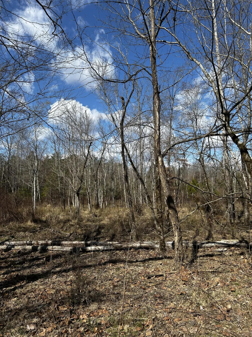 No Pone Valley Road Georgetown, TN 37336