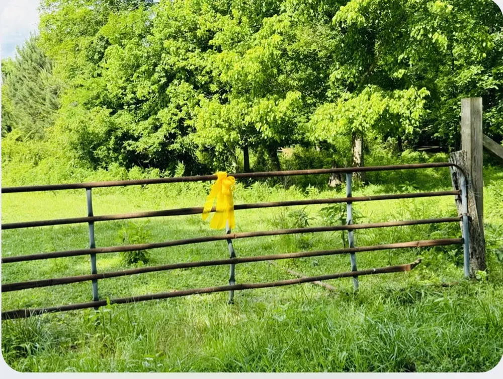 No Pone Valley Road Georgetown, TN 37336