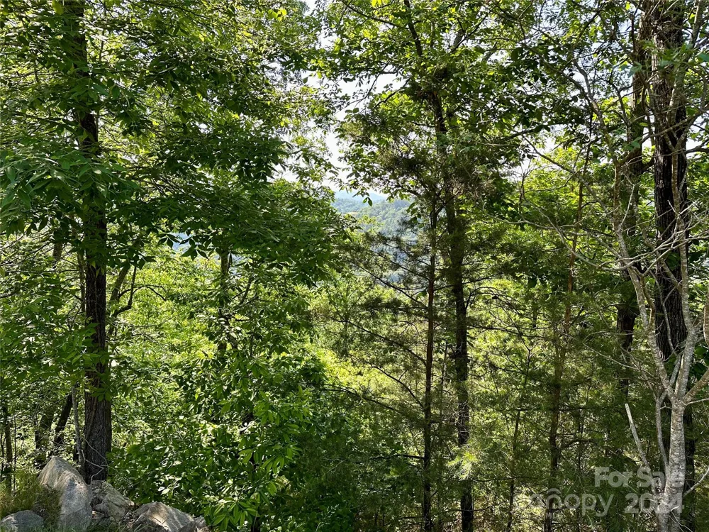 387 Wild River Run #6 Marshall, NC 28753