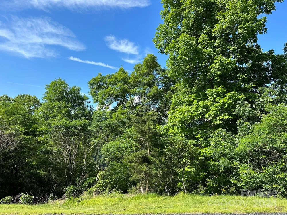 387 Wild River Run #6 Marshall, NC 28753