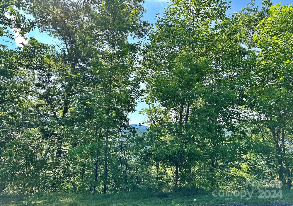 385 Wild River Run #7 Marshall, NC 28753